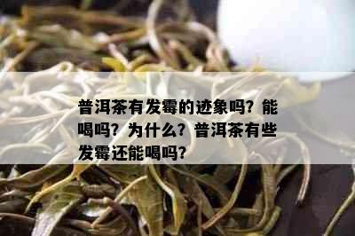 普洱茶有发霉的迹象吗？能喝吗？为什么？普洱茶有些发霉还能喝吗？