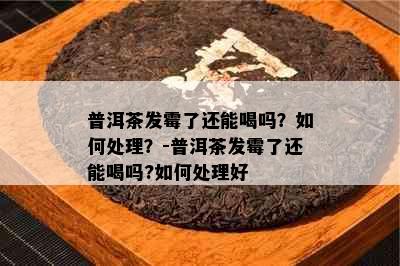 普洱茶发霉了还能喝吗？如何处理？-普洱茶发霉了还能喝吗?如何处理好