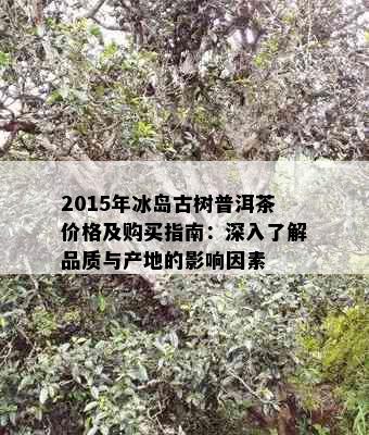 2015年冰岛古树普洱茶价格及购买指南：深入了解品质与产地的影响因素