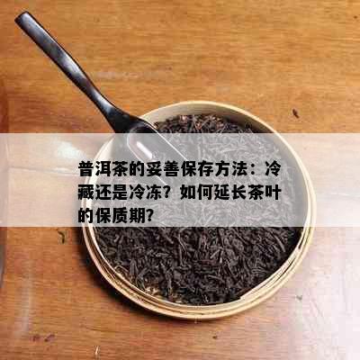 普洱茶的妥善保存方法：冷藏还是冷冻？如何延长茶叶的保质期？