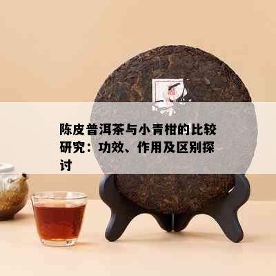 陈皮普洱茶与小青柑的比较研究：功效、作用及区别探讨