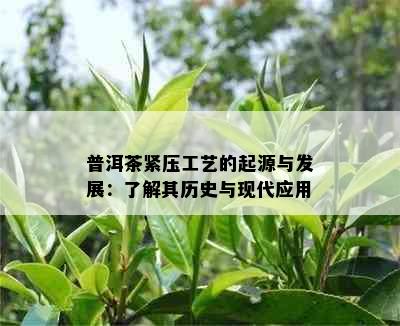 普洱茶紧压工艺的起源与发展：了解其历史与现代应用