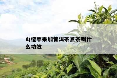 山楂苹果加普洱茶煮茶喝什么功效