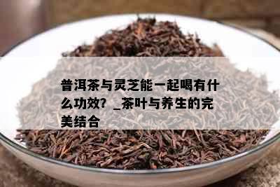 普洱茶与灵芝能一起喝有什么功效？_茶叶与养生的完美结合