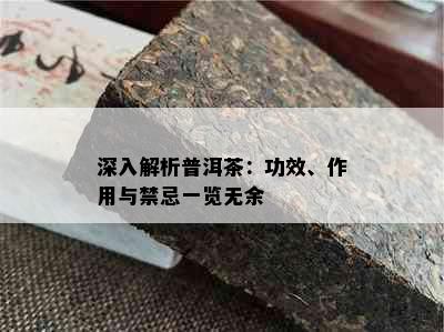 深入解析普洱茶：功效、作用与禁忌一览无余