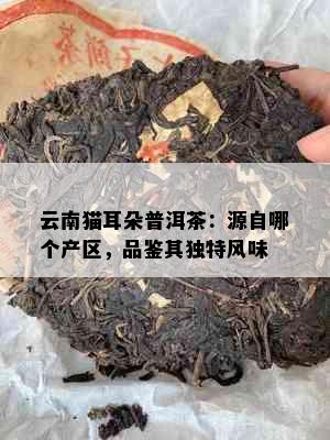 云南猫耳朵普洱茶：源自哪个产区，品鉴其独特风味