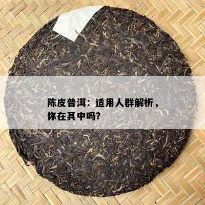 陈皮普洱：适用人群解析，你在其中吗？