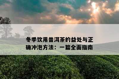 冬季饮用普洱茶的益处与正确冲泡方法：一篇全面指南