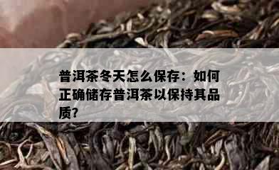 普洱茶冬天怎么保存：如何正确储存普洱茶以保持其品质？