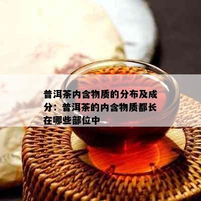 普洱茶内含物质的分布及成分：普洱茶的内含物质都长在哪些部位中