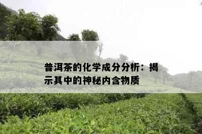 普洱茶的化学成分分析：揭示其中的神秘内含物质