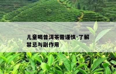 儿童喝普洱茶需谨慎-了解禁忌与副作用