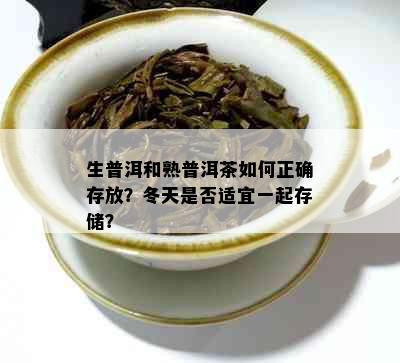 生普洱和熟普洱茶如何正确存放？冬天是否适宜一起存储？