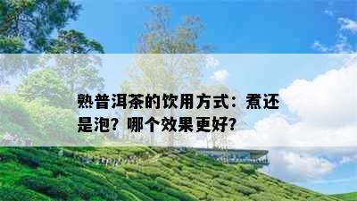 熟普洱茶的饮用方式：煮还是泡？哪个效果更好？