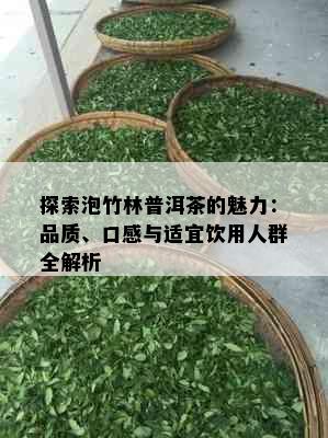 探索泡竹林普洱茶的魅力：品质、口感与适宜饮用人群全解析