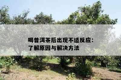 喝普洱茶后出现不适反应：了解原因与解决方法