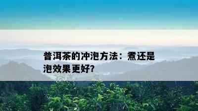 普洱茶的冲泡方法：煮还是泡效果更好？