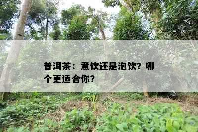 普洱茶：煮饮还是泡饮？哪个更适合你？