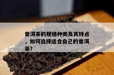 普洱茶的规格种类及其特点，如何选择适合自己的普洱茶？