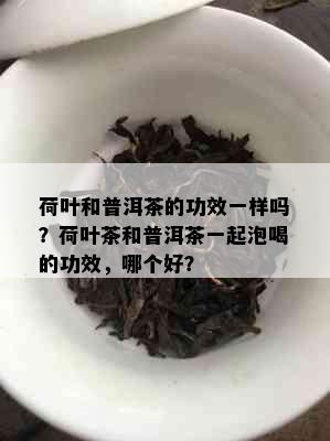 荷叶和普洱茶的功效一样吗？荷叶茶和普洱茶一起泡喝的功效，哪个好？