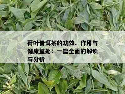 荷叶普洱茶的功效、作用与健康益处：一篇全面的解读与分析