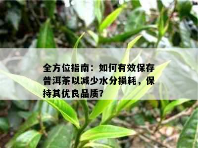 全方位指南：如何有效保存普洱茶以减少水分损耗，保持其优良品质？