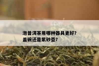 泡普洱茶用哪种器具更好？盖碗还是紫砂壶？