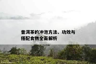 普洱茶的冲泡方法、功效与搭配食物全面解析