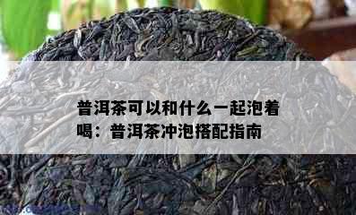 普洱茶可以和什么一起泡着喝：普洱茶冲泡搭配指南