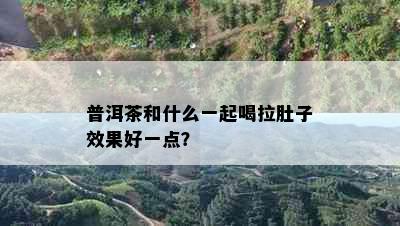 普洱茶和什么一起喝拉肚子效果好一点？