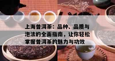 上海普洱茶：品种、品质与泡法的全面指南，让你轻松掌握普洱茶的魅力与功效