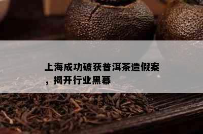 上海成功破获普洱茶造假案，揭开行业黑幕