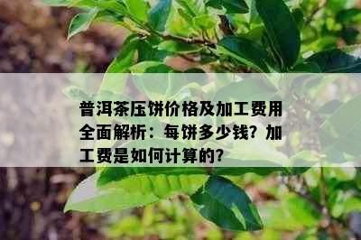 普洱茶压饼价格及加工费用全面解析：每饼多少钱？加工费是如何计算的？