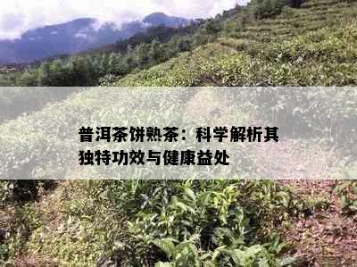 普洱茶饼熟茶：科学解析其独特功效与健康益处