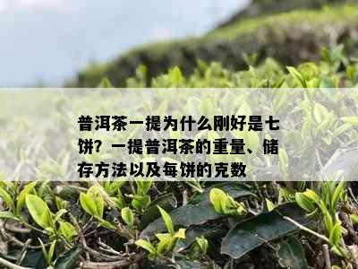 普洱茶一提为什么刚好是七饼？一提普洱茶的重量、储存方法以及每饼的克数