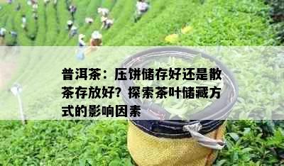 普洱茶：压饼储存好还是散茶存放好？探索茶叶储藏方式的影响因素