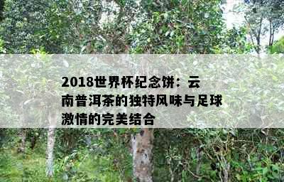 2018世界杯纪念饼：云南普洱茶的独特风味与足球     的完美结合