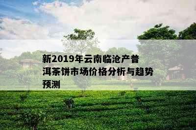 新2019年云南临沧产普洱茶饼市场价格分析与趋势预测