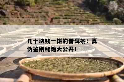 几十块钱一饼的普洱茶：真伪鉴别秘籍大公开！