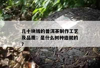 几十块钱的普洱茶制作工艺及品质：是什么树种造就的？