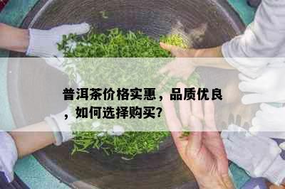 普洱茶价格实惠，品质优良，如何选择购买？