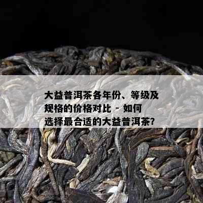 大益普洱茶各年份、等级及规格的价格对比 - 如何选择最合适的大益普洱茶？