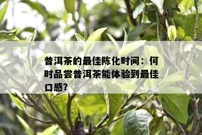 普洱茶的更佳陈化时间：何时品尝普洱茶能体验到更佳口感？