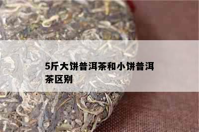 5斤大饼普洱茶和小饼普洱茶区别