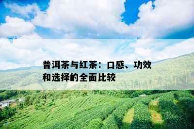 普洱茶与红茶：口感、功效和选择的全面比较