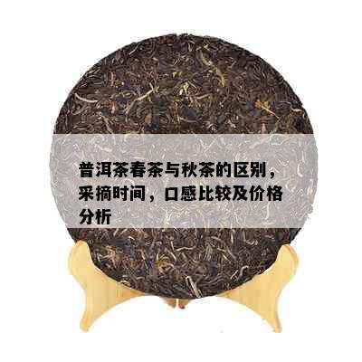 普洱茶春茶与秋茶的区别，采摘时间，口感比较及价格分析