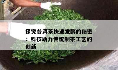 探究普洱茶快速发酵的秘密：科技助力传统制茶工艺的创新