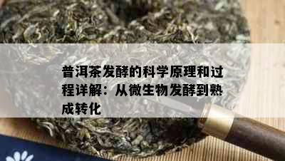 普洱茶发酵的科学原理和过程详解：从微生物发酵到熟成转化