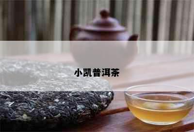 小凯普洱茶