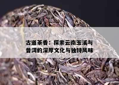 古道茶香：探索云南玉溪与普洱的深厚文化与独特风味